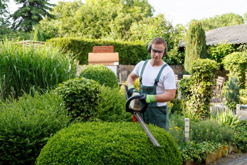 Viburnum Trimming